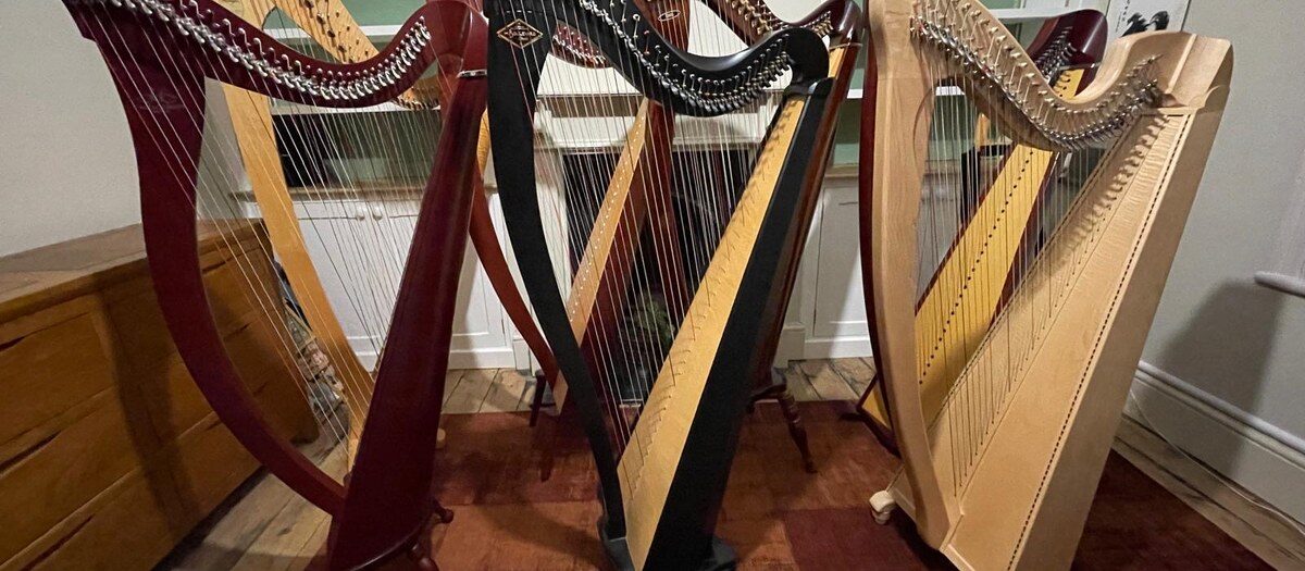 A collection of lever and pedal harps arranged together in a warm sitting room